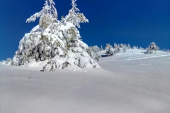 Neve-Intonsa